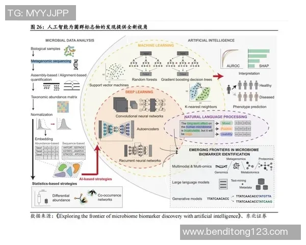 红桃国际鲁棒性AI系统助力智能决策与风险管理的创新发展之路